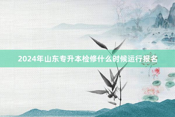 2024年山东专升本检修什么时候运行报名