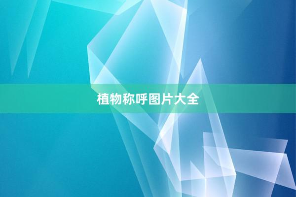 植物称呼图片大全